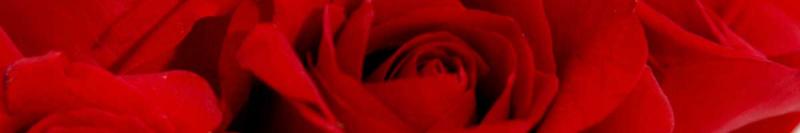 rosen